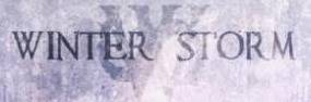logo Winter Storm